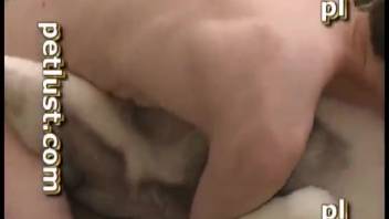 Gorgeous babe gets pounded in missionary position